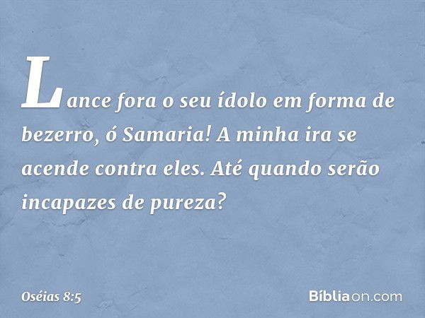 Lance fora o seu ídolo
em forma de bezerro, ó Samaria!
A minha ira se acende contra eles.
Até quando serão incapazes de pureza? -- Oséias 8:5