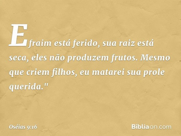 Efraim está ferido,
sua raiz está seca,
eles não produzem frutos.
Mesmo que criem filhos,
eu matarei sua prole querida." -- Oséias 9:16