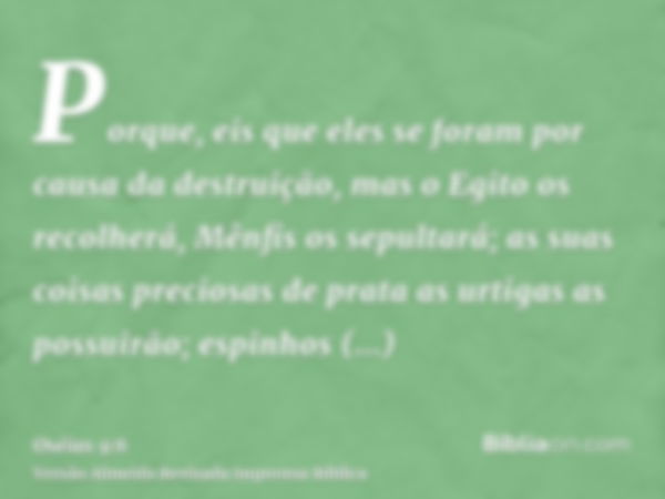 Porque, eis que eles se foram por causa da destruição, mas o Egito os recolherá, Mênfis os sepultará; as suas coisas preciosas de prata as urtigas as possuirão;