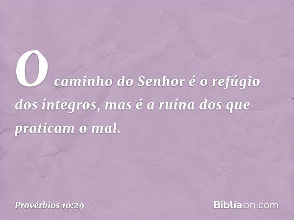 O caminho do Senhor
é o refúgio dos íntegros,
mas é a ruína dos que praticam o mal. -- Provérbios 10:29