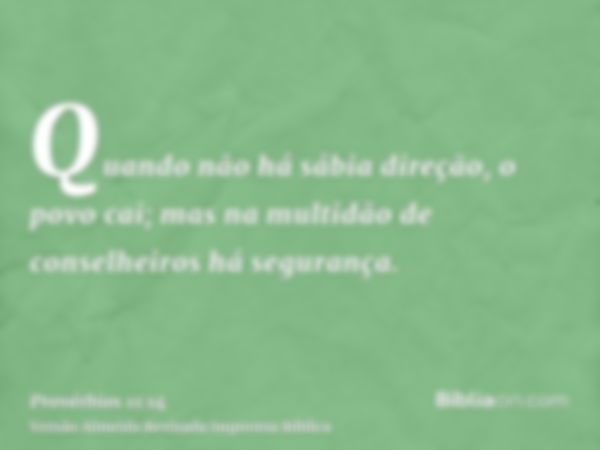 Quando não há sábia direção, o povo cai; mas na multidão de conselheiros há segurança.