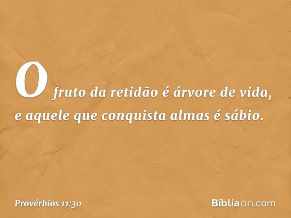 O fruto da retidão é árvore de vida,
e aquele que conquista almas é sábio. -- Provérbios 11:30