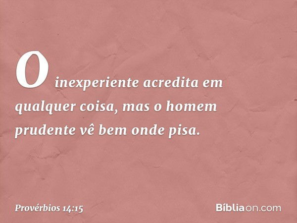 O inexperiente acredita
em qualquer coisa,
mas o homem prudente vê bem onde pisa. -- Provérbios 14:15