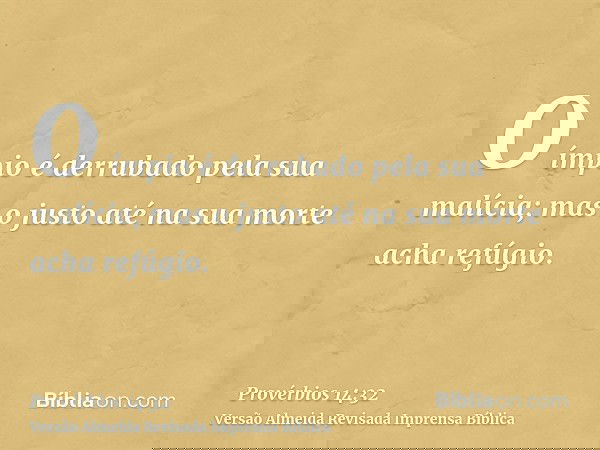 O ímpio é derrubado pela sua malícia; mas o justo até na sua morte acha refúgio.