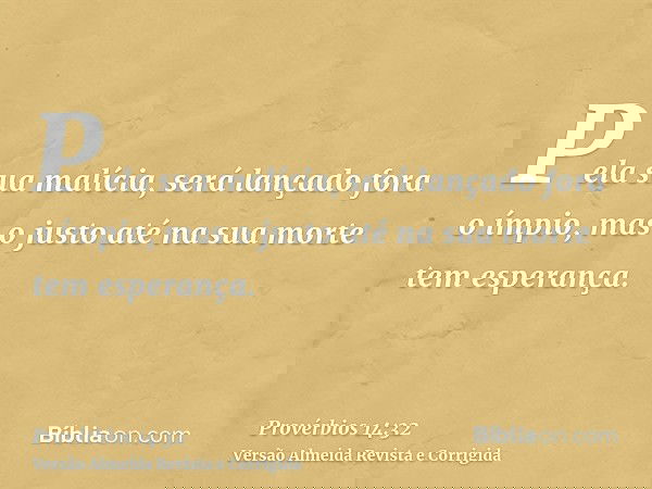 Pela sua malícia, será lançado fora o ímpio, mas o justo até na sua morte tem esperança.
