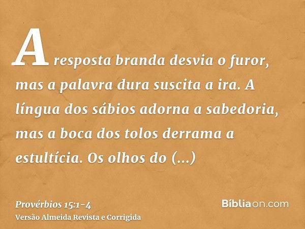 No truvisco das horas - Sabiá Canuto – AVÁ editora