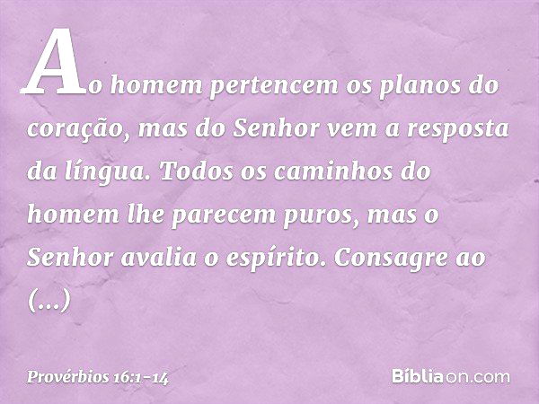 Ao homem pertencem
os planos do coração,
mas do Senhor vem a resposta da língua. Todos os caminhos do homem
lhe parecem puros,
mas o Senhor avalia o espírito. C