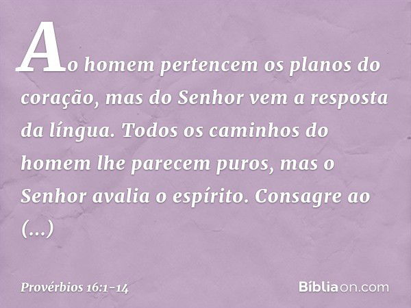 Ao homem pertencem
os planos do coração,
mas do Senhor vem a resposta da língua. Todos os caminhos do homem
lhe parecem puros,
mas o Senhor avalia o espírito. C