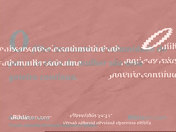O filho insensato é a calamidade do pai; e as rixas da mulher são uma goteira contínua.