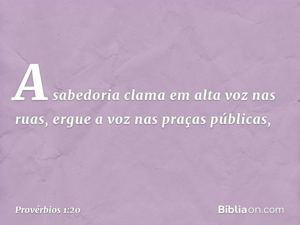 A sabedoria clama em alta voz nas ruas,
ergue a voz nas praças públicas, -- Provérbios 1:20