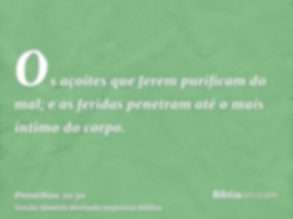 Os açoites que ferem purificam do mal; e as feridas penetram até o mais íntimo do corpo.