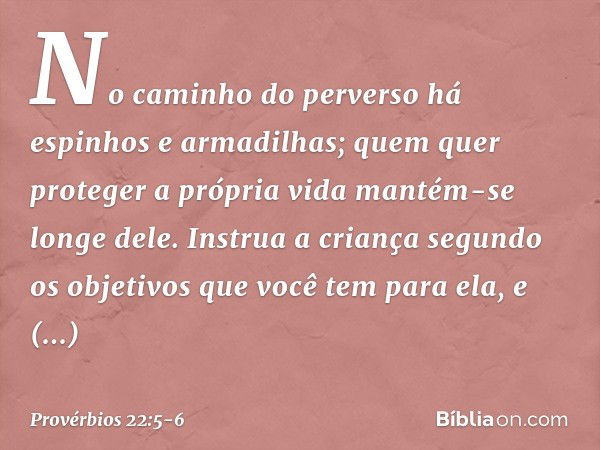 No caminho do perverso
há espinhos e armadilhas;
quem quer proteger a própria vida
mantém-se longe dele. Instrua a criança segundo os objetivos
que você tem par