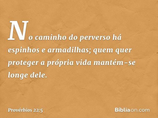 No caminho do perverso
há espinhos e armadilhas;
quem quer proteger a própria vida
mantém-se longe dele. -- Provérbios 22:5