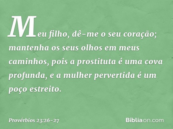 Meu filho, dê-me o seu coração;
mantenha os seus olhos
em meus caminhos, pois a prostituta é uma cova profunda,
e a mulher pervertida é um poço estreito. -- Pro