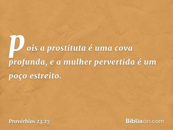 pois a prostituta é uma cova profunda,
e a mulher pervertida é um poço estreito. -- Provérbios 23:27