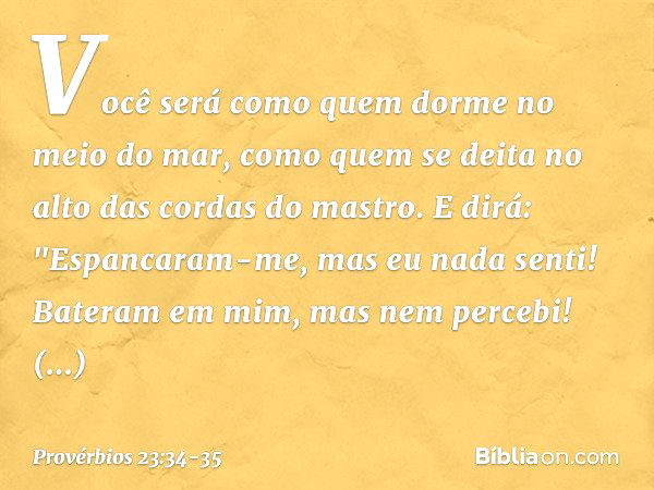 Você será como quem
dorme no meio do mar,
como quem se deita
no alto das cordas do mastro. E dirá: "Espancaram-me,
mas eu nada senti!
Bateram em mim, mas nem pe