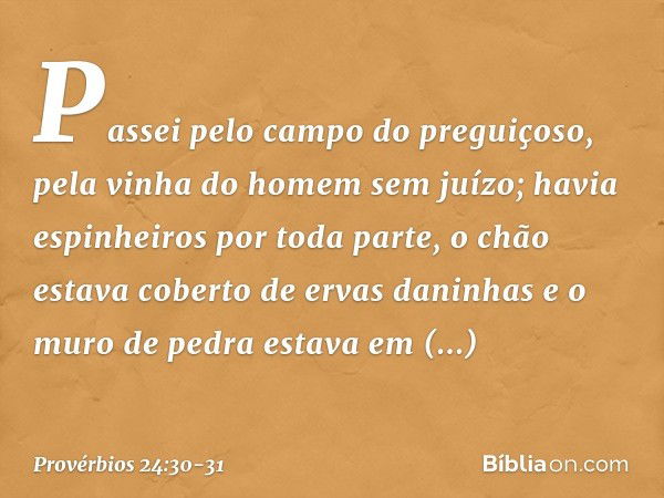 Passei pelo campo do preguiçoso,
pela vinha do homem sem juízo; havia espinheiros por toda parte,
o chão estava coberto de ervas daninhas
e o muro de pedra esta