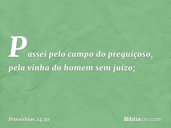 Passei pelo campo do preguiçoso,
pela vinha do homem sem juízo; -- Provérbios 24:30