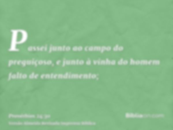 Passei junto ao campo do preguiçoso, e junto à vinha do homem falto de entendimento;