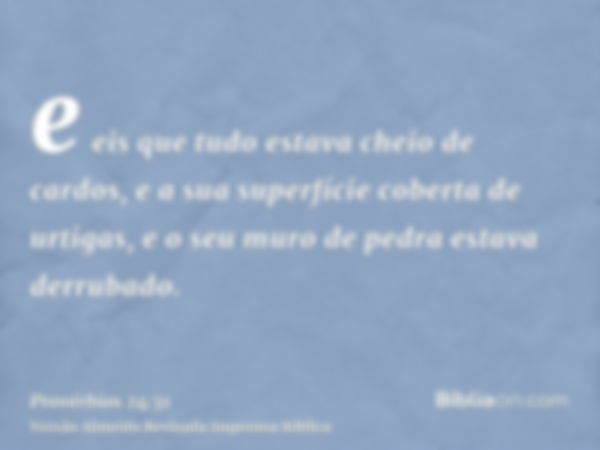 e eis que tudo estava cheio de cardos, e a sua superfície coberta de urtigas, e o seu muro de pedra estava derrubado.