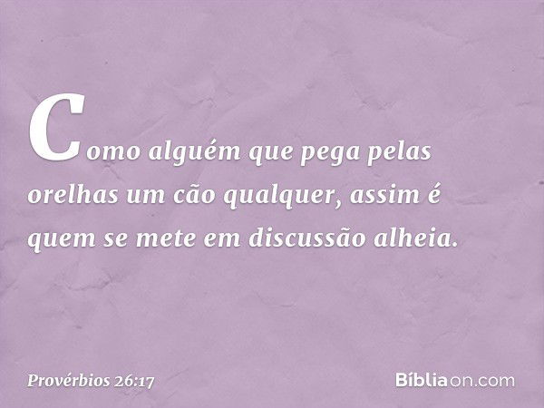 Como alguém que pega pelas orelhas
um cão qualquer,
assim é quem se mete em discussão alheia. -- Provérbios 26:17