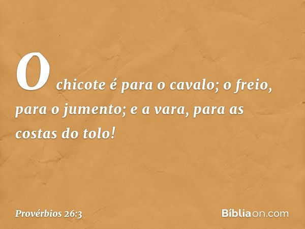 O chicote é para o cavalo;
o freio, para o jumento;
e a vara, para as costas do tolo! -- Provérbios 26:3