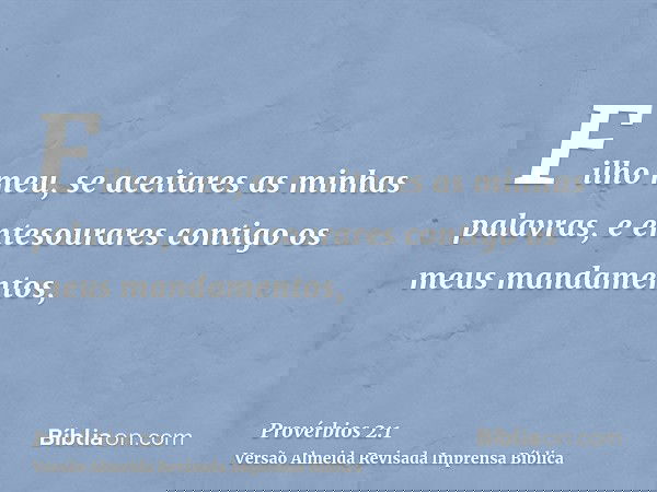 Filho meu, se aceitares as minhas palavras, e entesourares contigo os meus mandamentos,