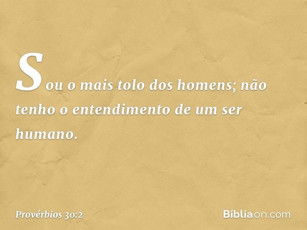 "Sou o mais tolo dos homens;
não tenho o entendimento
de um ser humano. -- Provérbios 30:2