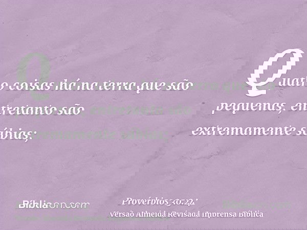 Quatro coisas há na terra que são pequenas, entretanto são extremamente sábias;