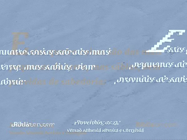 Estas quatro coisas são das mais pequenas da terra, mas sábias, bem providas de sabedoria: