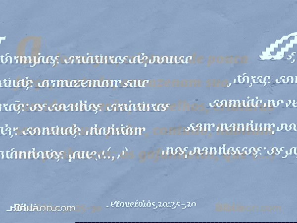as formigas, criaturas de pouca força,
contudo, armazenam sua comida no verão; os coelhos, criaturas sem nenhum poder,
contudo, habitam nos penhascos; os gafanh
