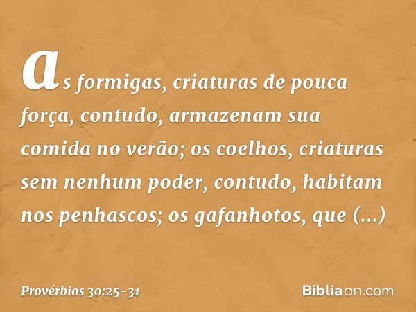 as formigas, criaturas de pouca força,
contudo, armazenam sua comida no verão; os coelhos, criaturas sem nenhum poder,
contudo, habitam nos penhascos; os gafanh