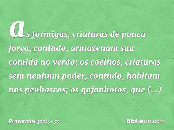 as formigas, criaturas de pouca força,
contudo, armazenam sua comida no verão; os coelhos, criaturas sem nenhum poder,
contudo, habitam nos penhascos; os gafanh