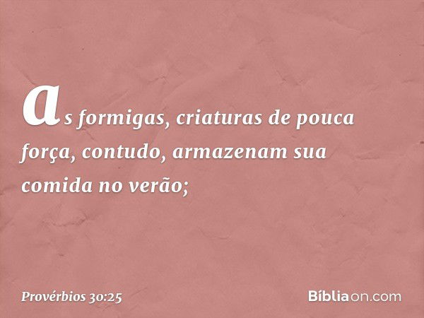 as formigas, criaturas de pouca força,
contudo, armazenam sua comida no verão; -- Provérbios 30:25