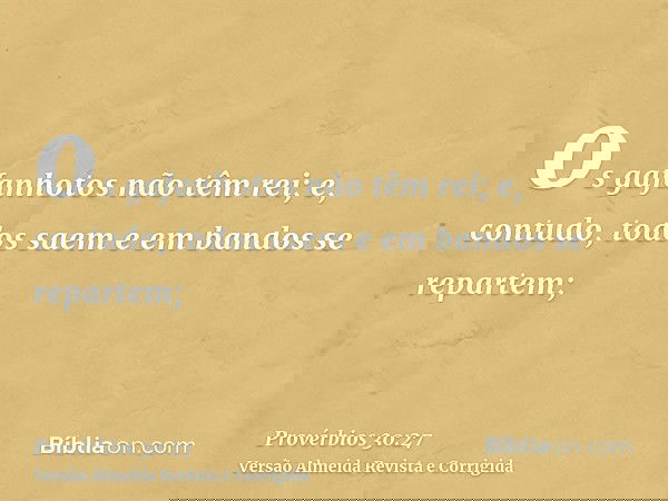 os gafanhotos não têm rei; e, contudo, todos saem e em bandos se repartem;