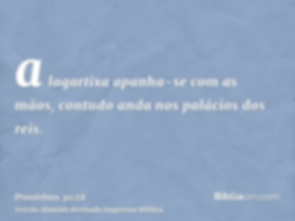 a lagartixa apanha-se com as mãos, contudo anda nos palácios dos reis.