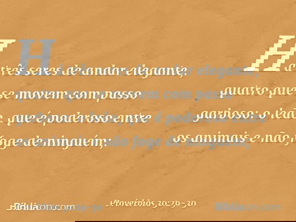 "Há três seres de andar elegante,
quatro que se movem com passo garboso: o leão, que é poderoso entre os animais
e não foge de ninguém; -- Provérbios 30:29-30