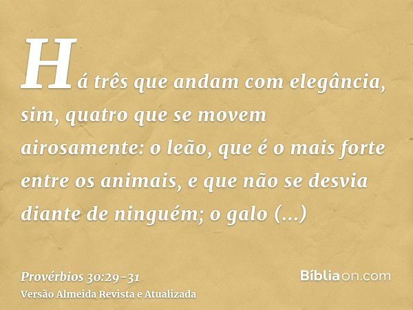 Há três que andam com elegância, sim, quatro que se movem airosamente:o leão, que é o mais forte entre os animais, e que não se desvia diante de ninguém;o galo 