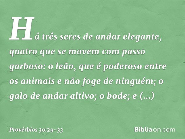 "Há três seres de andar elegante,
quatro que se movem com passo garboso: o leão, que é poderoso entre os animais
e não foge de ninguém; o galo de andar altivo; 