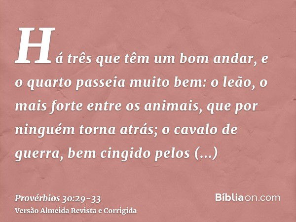 Há três que têm um bom andar, e o quarto passeia muito bem:o leão, o mais forte entre os animais, que por ninguém torna atrás;o cavalo de guerra, bem cingido pe