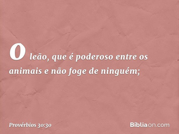 o leão, que é poderoso entre os animais
e não foge de ninguém; -- Provérbios 30:30