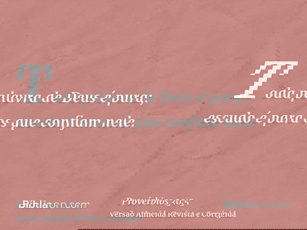 Toda palavra de Deus é pura; escudo é para os que confiam nele.