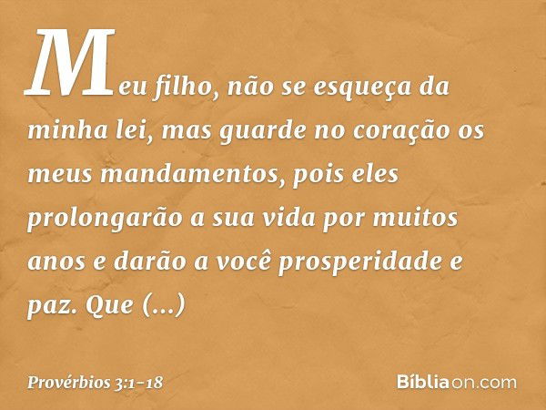 Meu filho, não se esqueça da minha lei,
mas guarde no coração
os meus mandamentos, pois eles prolongarão a sua vida
por muitos anos
e darão a você prosperidade 