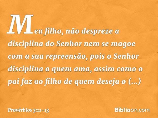 Meu filho,
não despreze a disciplina do Senhor
nem se magoe com a sua repreensão, pois o Senhor disciplina a quem ama,
assim como o pai faz ao filho
de quem des