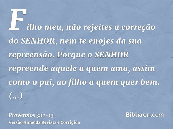 Filho meu, não rejeites a correção do SENHOR, nem te enojes da sua repreensão.Porque o SENHOR repreende aquele a quem ama, assim como o pai, ao filho a quem que