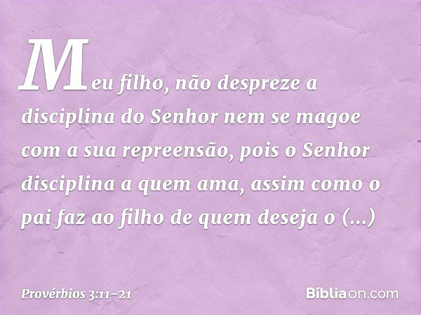 Meu filho,
não despreze a disciplina do Senhor
nem se magoe com a sua repreensão, pois o Senhor disciplina a quem ama,
assim como o pai faz ao filho
de quem des