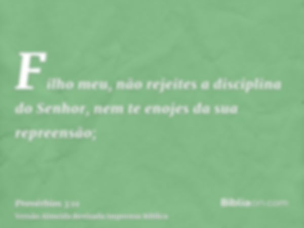 Filho meu, não rejeites a disciplina do Senhor, nem te enojes da sua repreensão;