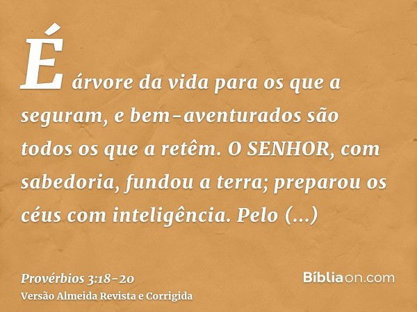 É árvore da vida para os que a seguram, e bem-aventurados são todos os que a retêm.O SENHOR, com sabedoria, fundou a terra; preparou os céus com inteligência.Pe