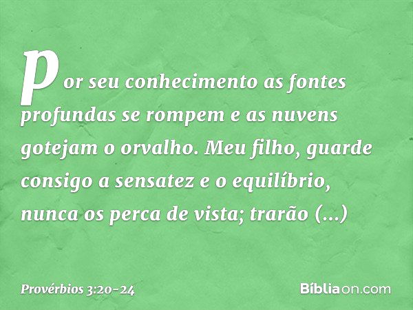 por seu conhecimento
as fontes profundas se rompem
e as nuvens gotejam o orvalho. Meu filho, guarde consigo
a sensatez e o equilíbrio,
nunca os perca de vista; 