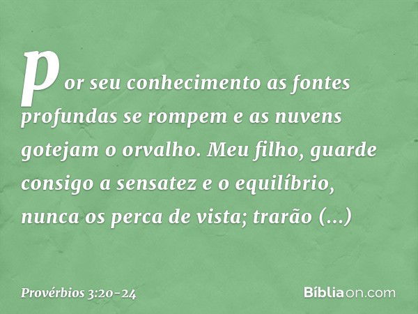 por seu conhecimento
as fontes profundas se rompem
e as nuvens gotejam o orvalho. Meu filho, guarde consigo
a sensatez e o equilíbrio,
nunca os perca de vista; 